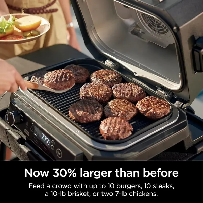 Woodfire ProXL Griglia e Affum - Electric Smoker Bbq recensione e prezzo