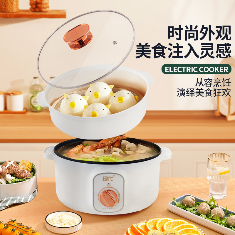 Mini pentola elettrica multifu - Kitchen Appliances Cooking recensione e prezzo