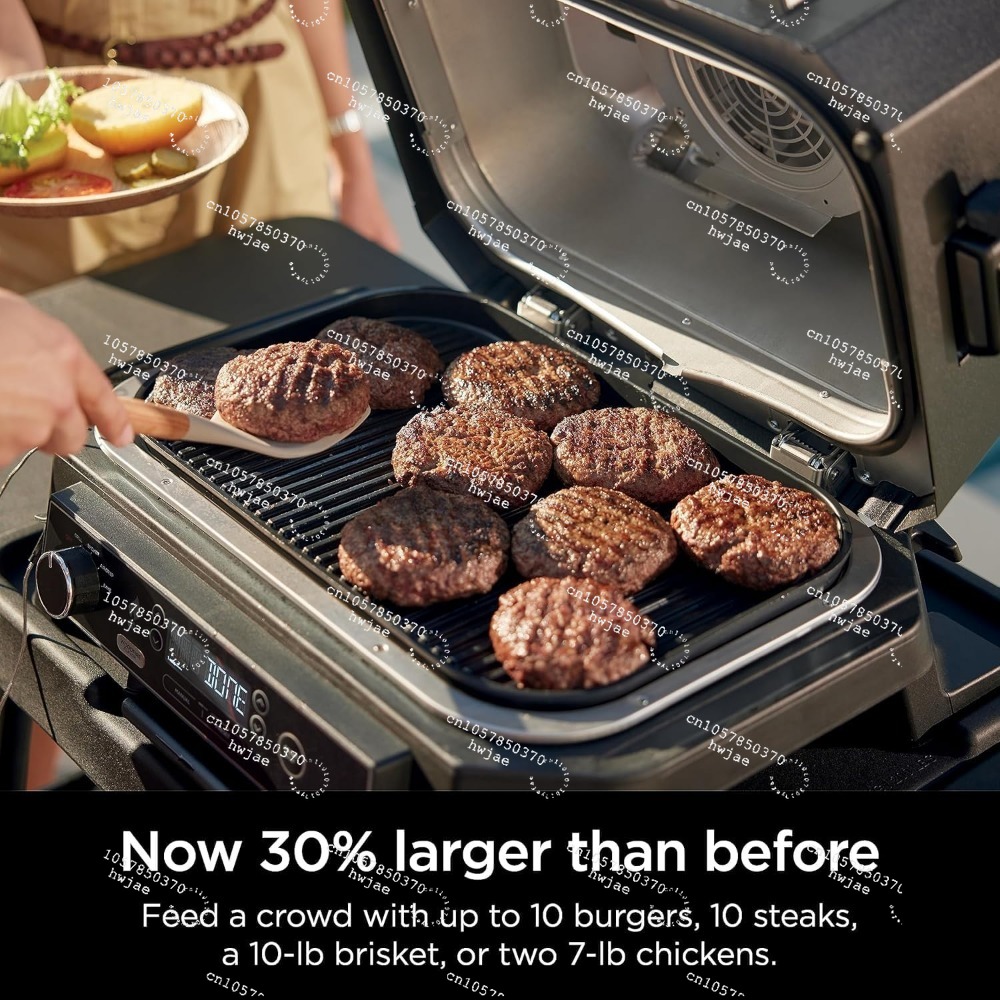 Ninja Wood--ireProXL Griglia e - Electric Smoker Bbq recensione e prezzo